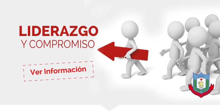 Proyectos 2019